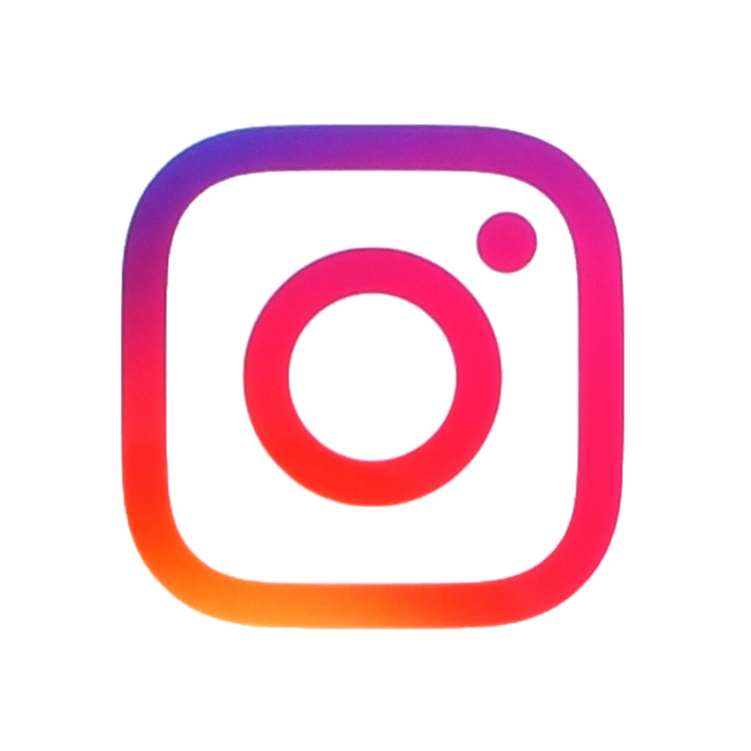 Logo Instagram_DarwinNet